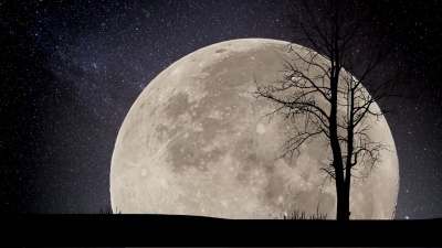 超级月亮夜星延时摄影