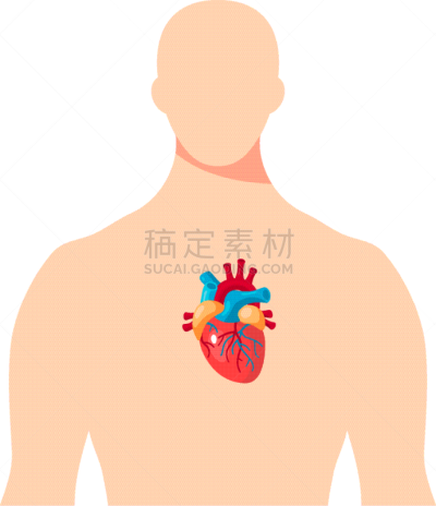 里面,男性,人类心脏,白色,生物学,分离着色,健康保健,人,生病