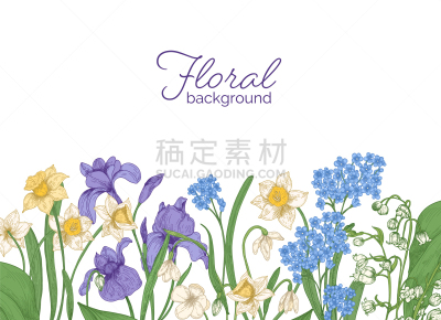 春天,华丽的,水平画幅,背景幕,季节,自然美,高雅,植物学,花,复古