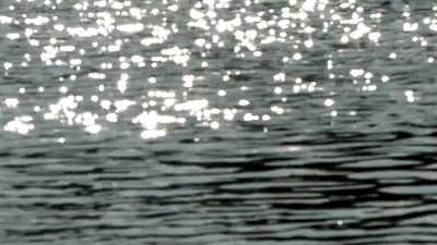 池塘中的阳光反射