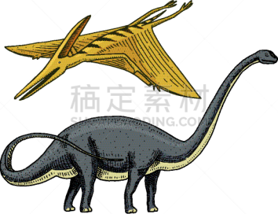 板龙,腕龙,恐龙,分离着色,轮廓,白色,自然,白垩系,野生动物,古生物学