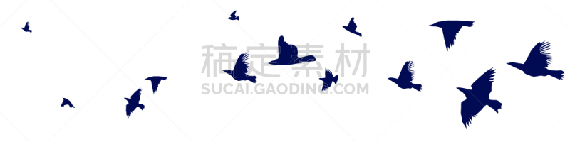 鸟类,椋鸟,羊群,分离着色,白色,自然,野生动物,飞,收集
