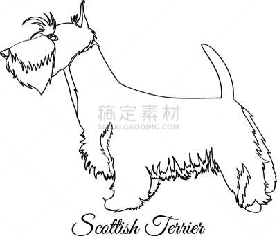 狗,苏格兰粗毛猎狐犬,分离着色,轮廓,宠物,业主,纯种犬,梗犬,着色,喂养