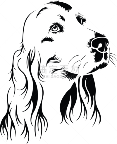 斯班尼犬,矢量,田地,可卡犬,肖像,图像,狗,工作