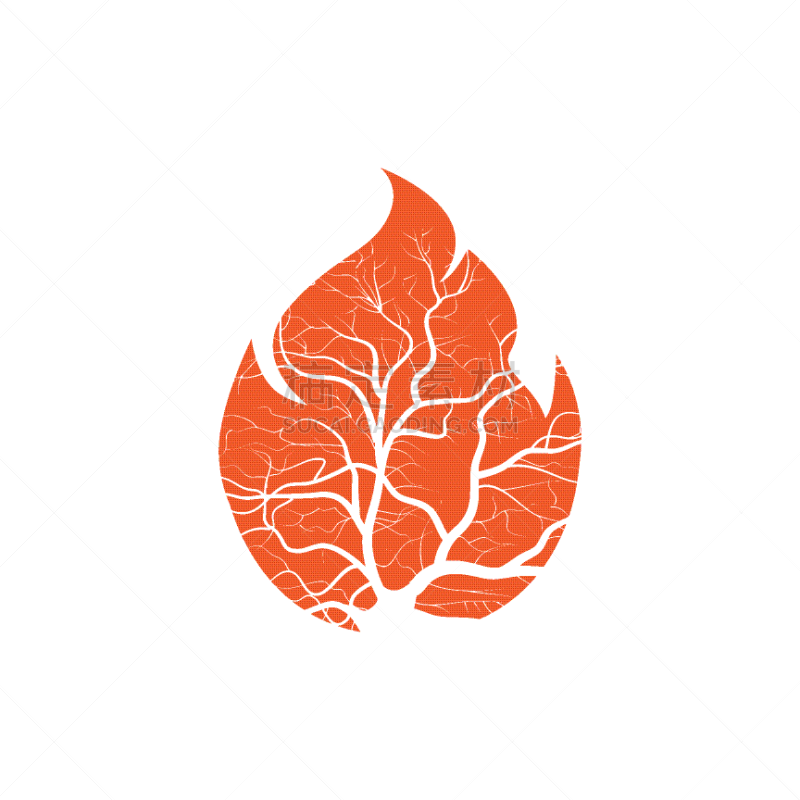 风险,热,大篝火,环境,易燃品,营火,树干,植物,车站,户外
