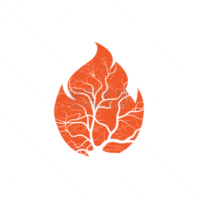 风险,热,大篝火,环境,易燃品,营火,树干,植物,车站,户外