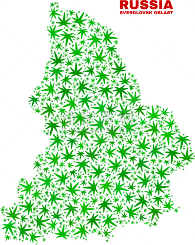 叶子,镶嵌图案,多样,塔法里教教徒,瘾君子,依靠
