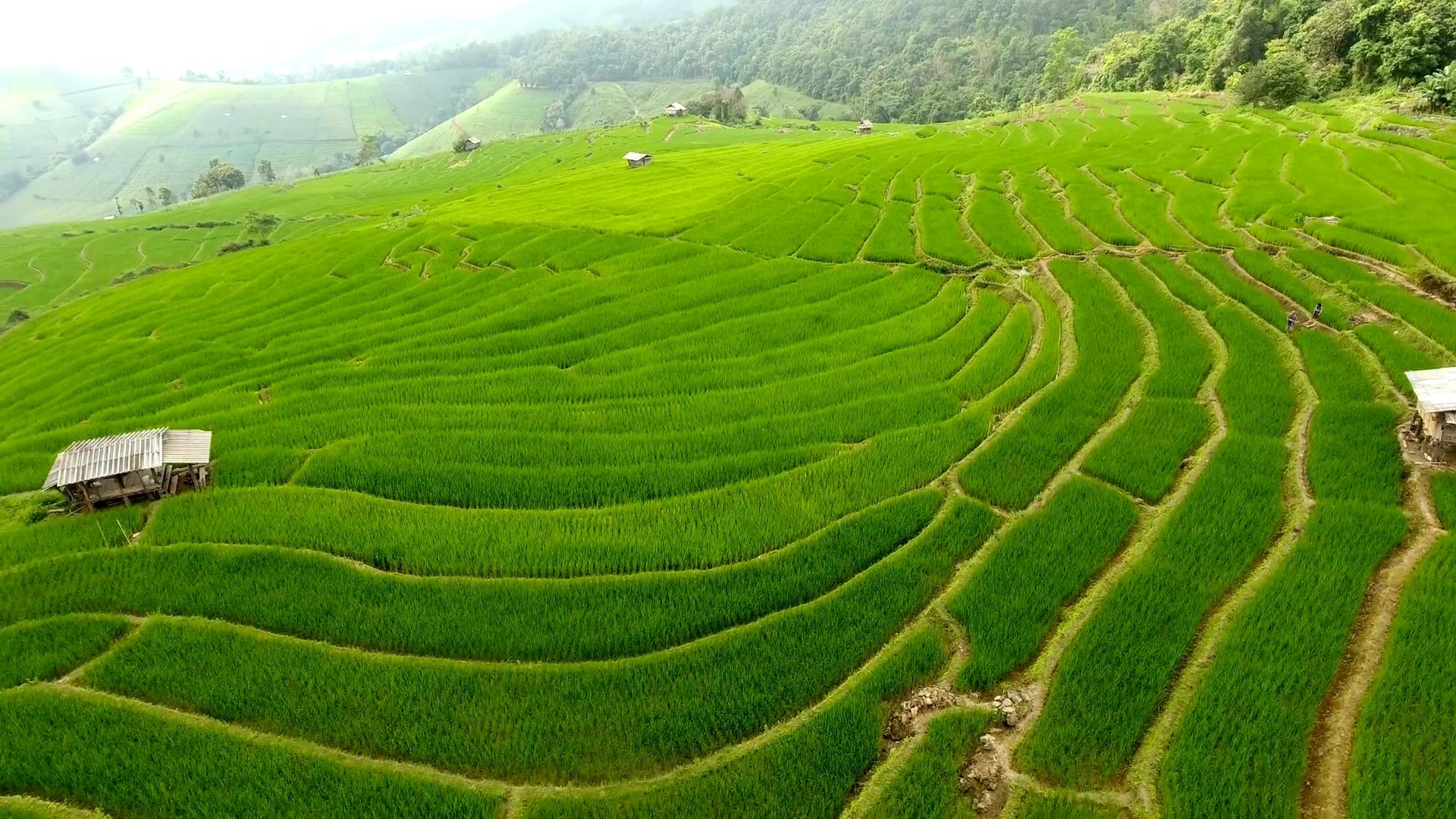 山地农地稻田梯田。