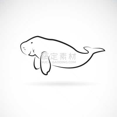 儒艮,绘画插图,矢量,式样,野外动物,简单,多层效果,白色背景,生物学,可爱的