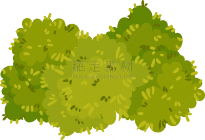 灌木,公亩,华丽的,摆拍,计划书,清新,景观设计,环境,植物群,挨着