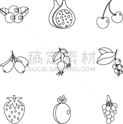 轮廓,植物,图标集,浆果,黑色,清新,有营养的,自然,图像,收集