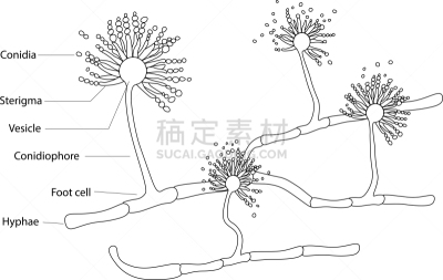 洒水器,湿,不卫生的,卫生,泰国,图像,损坏的,肮脏的,无人,过敏