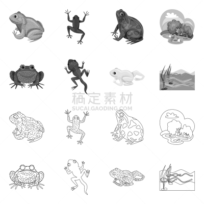 野生动物,藓沼,品牌名称,生物学,有毒物质,青蛙,池塘,草,收集,设计