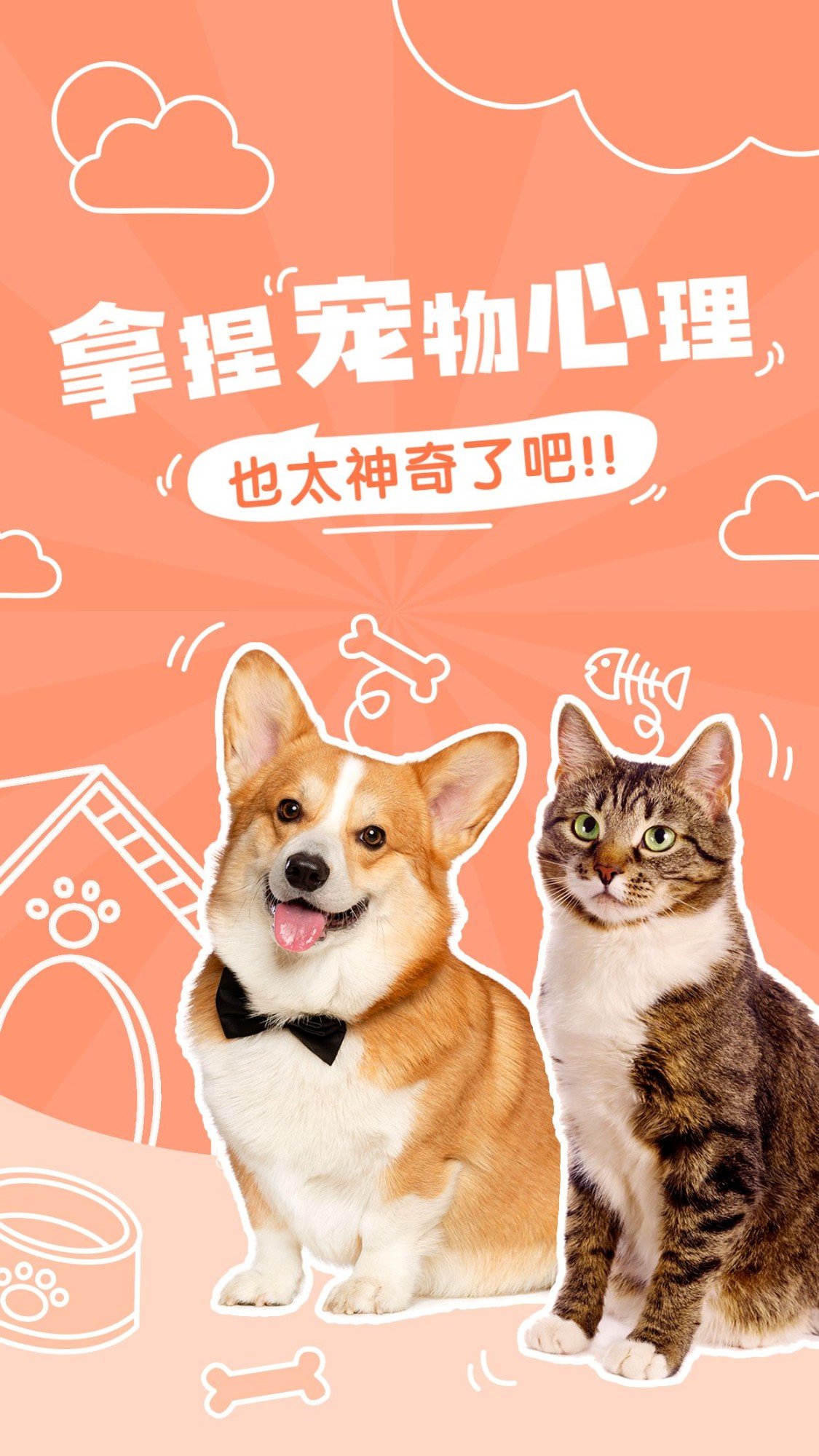 宠物知识科普宣传横版视频封面