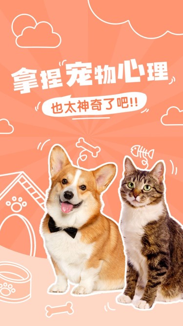 宠物知识科普宣传横版视频封面
