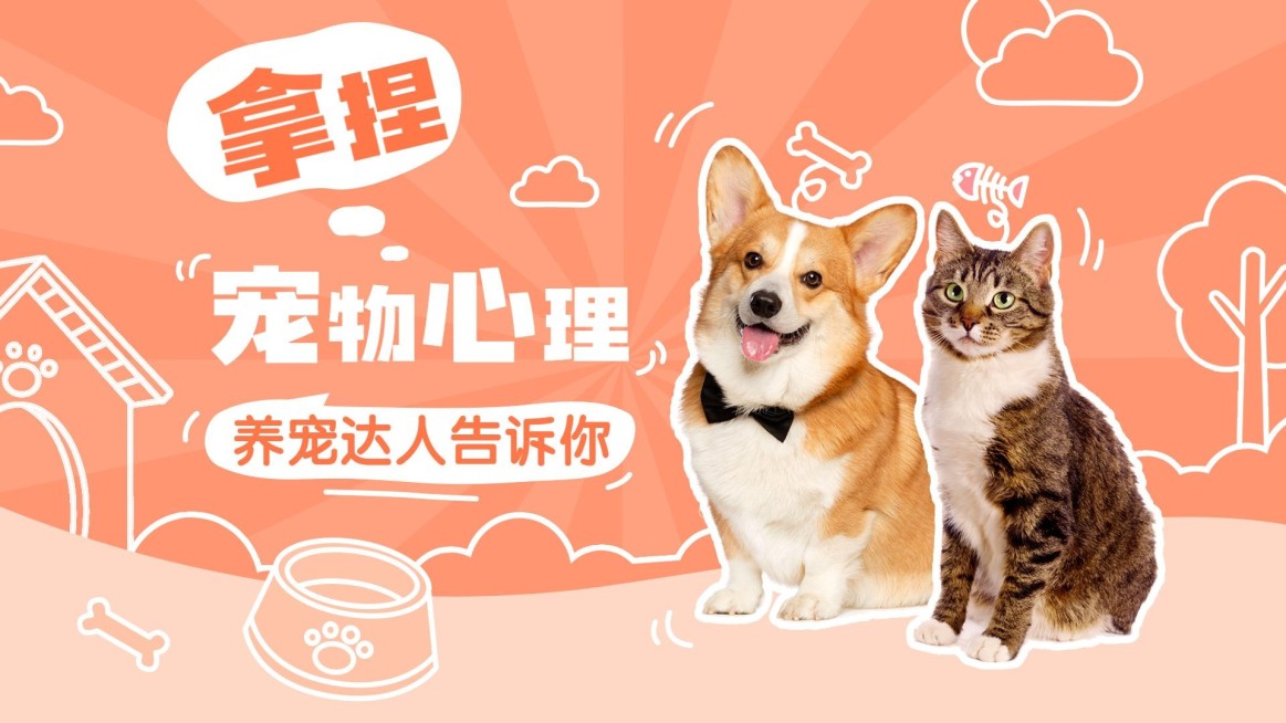 宠物知识科普宣传横版视频封面预览效果