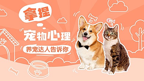 宠物知识科普宣传横版视频封面