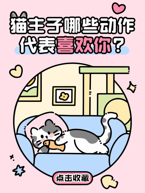 宠物知识分享话题讨论可爱趣味插画爆款大字小红书封面预览效果