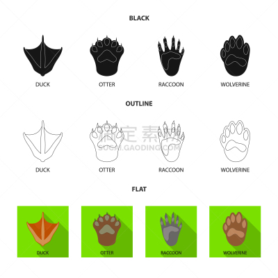 式样,图标,分离着色,自然,脚印,脉搏图,野生动物,步行,踏步,收集