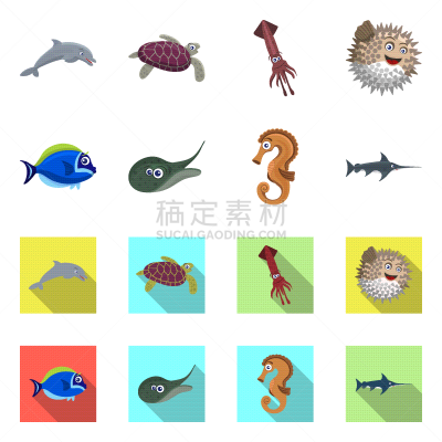 动物,海洋,图标,水下,可爱的,野生动物,图像,设计,收集