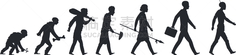 猴子,猿,男穴居人,商务,南方古猿,人属,灵长目,剪影,进化,绘制