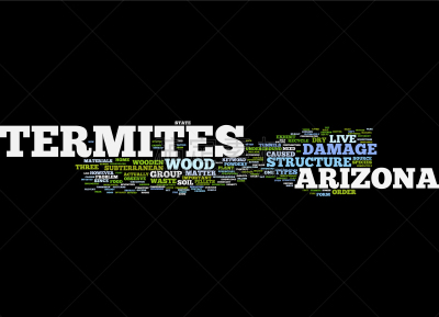 arizona termites text background word cloud