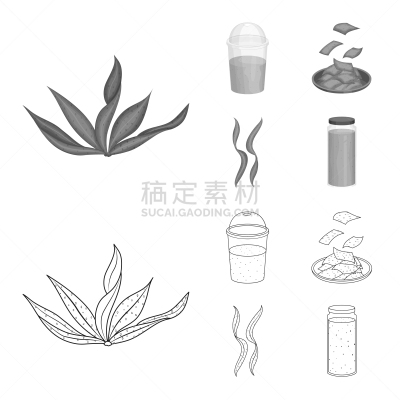 海洋,计算机图标,蛋白质,饮料,蔬菜,素食,清新,食品,收集,设计
