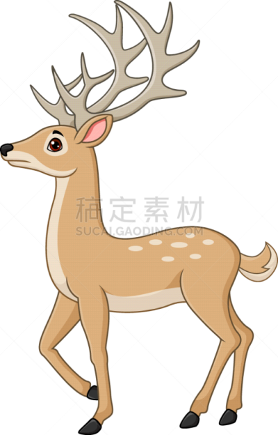 可爱的,卡通,鹿,分离着色,白色背景,野生动物,哺乳纲,蹄,小的,动物