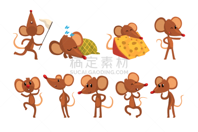动画片,性格,鼠,反差,可爱的,野生动物,食品,哺乳纲,布置,站
