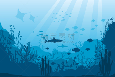 深的,动物,礁石,水下,海洋,藻类,运动,野生动物,环境,剪影