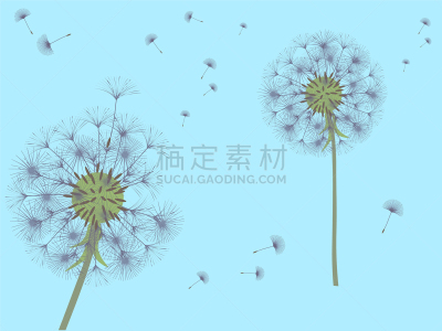 抽象,背景,分离着色,白色,过敏反应,清新,图像,设计,吹,装饰