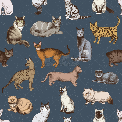 猫,动物手,四方连续纹样,可爱的,纯种犬,浣熊,缅甸猫,阿比西尼亚猫,缅因州,绘制