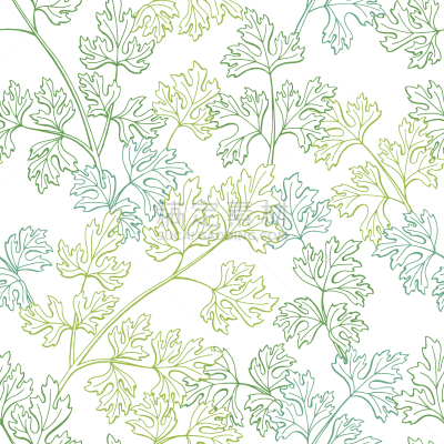 四方连续纹样,植物,背景,草图,绘画插图,草本,欧芹,矢量,绿色,彩色图片