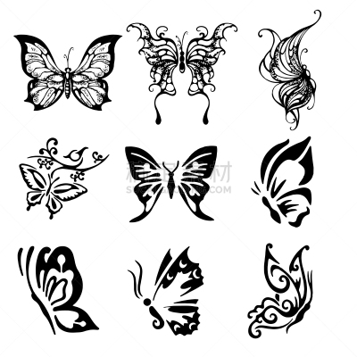 矢量,绘画插图,分离着色,白色,蝴蝶,自然,华丽的,黄色,请柬,精工制品