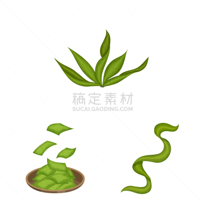 isolated object spirulina and seaweed logo