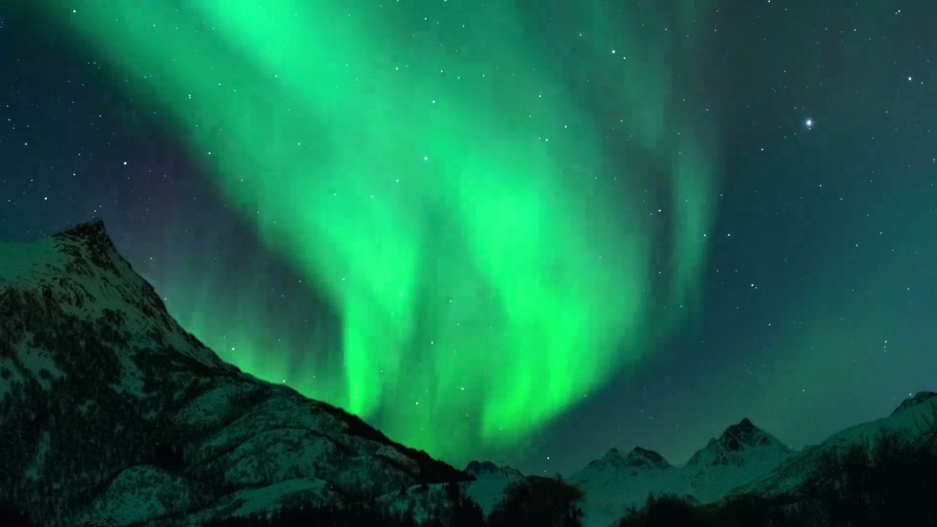 Lofoten上空夜空中极光或北极光(Aurora Borealis)的延时剪辑