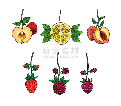 浆果,水果,可爱的,清新,菜园,背景分离,多样,热带气候,食品,肖像