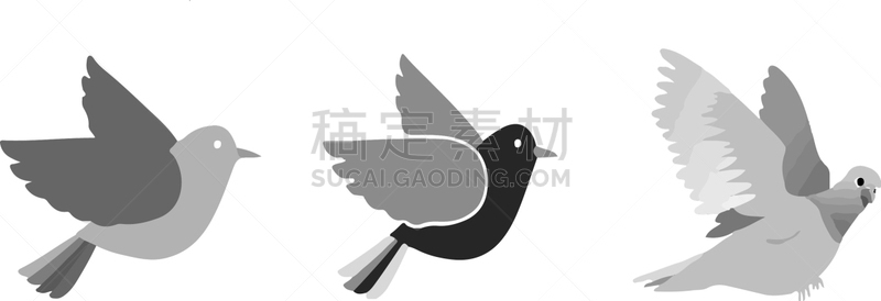 鸟类,图标,白色背景,野生动物,凉鞋,翅膀,老鹰,巨嘴鸟,动物