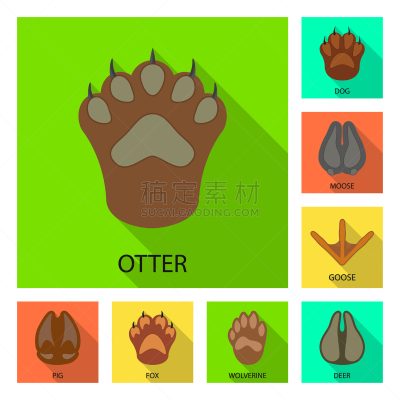 行人信号灯,脚印,脉搏图,野生动物,狗,猪,蹄,动物,布置,踏步