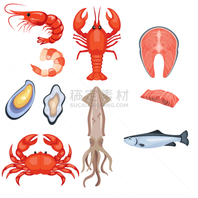 海产,菜单,背景分离,清新,食品,动物,绘画插图,鱼类,鱿鱼,符号