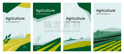 农业,矢量,背景,彩色背景,模板,农场,农学家,农业设备,干草