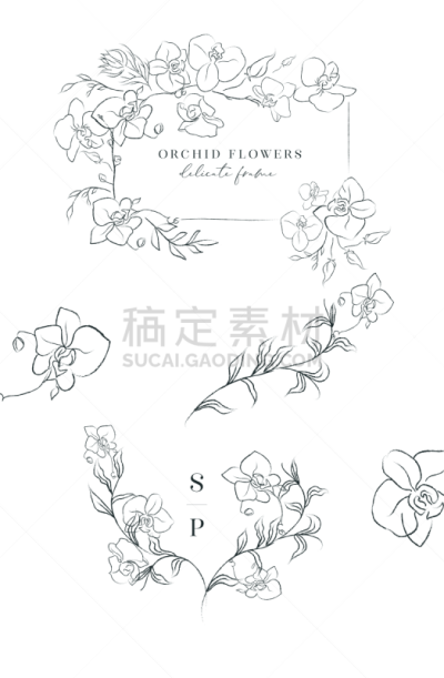边框,线条画,脆弱,矢量,花环,华丽的,请柬,铅笔,简单,复古风格