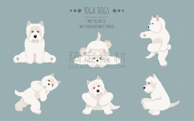 yoga dogs poses and exercises poster design west