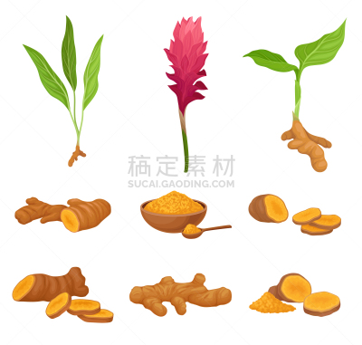植物,反差,茶,饮料,部分,家庭,营养品,成分,布置,击败