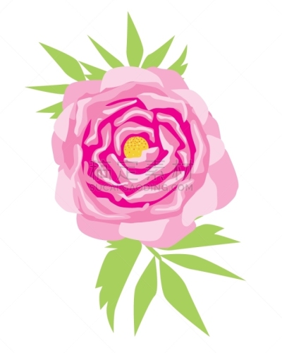 牡丹,叶子,矢量,绘画插图,平坦的,分离着色,纺织品,玫瑰,花,复古