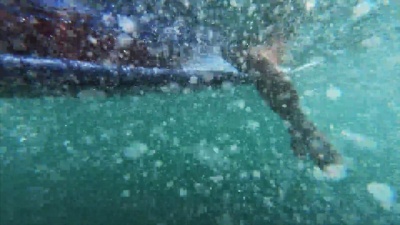 海洋中的冲浪者
