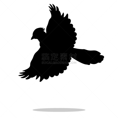 僵鸟,黑色,可爱的,自然,季节,野生动物,图像,霜,雪,剪影