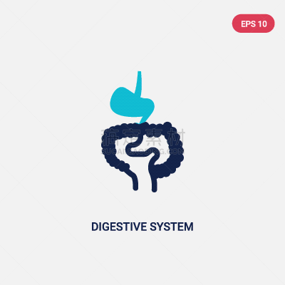 彩色图片,计算机图标,两个物体,动物消化系统,分离着色,生物学,肠内的,健康保健,人