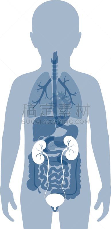 分离着色,肾脏,健康保健,门诊部,品牌名称,儿童,透析过滤器,顺序,剪影