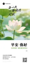莲花素材